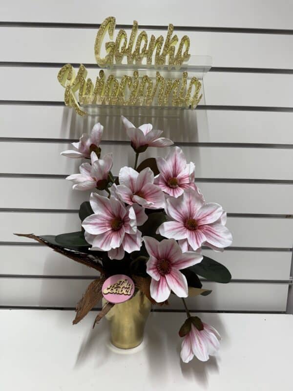 Magnolia w Ceramicznej Doniczce