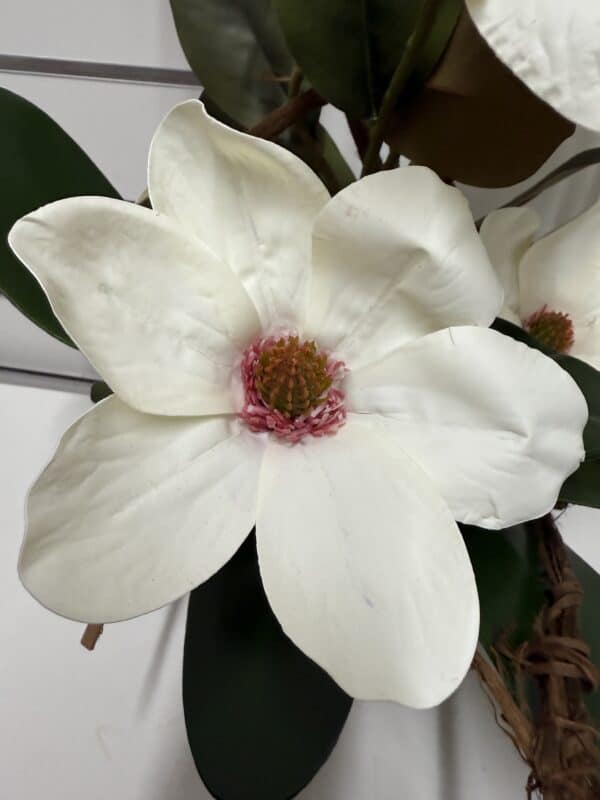 Magnolia w Ceramicznej Doniczce - obrazek 3