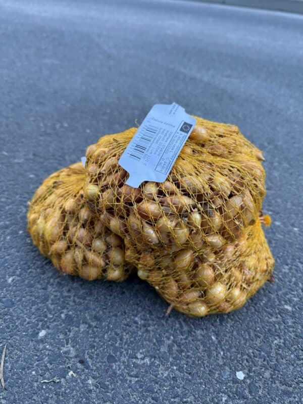 Cebula Dymka Sturon 500g - obrazek 2